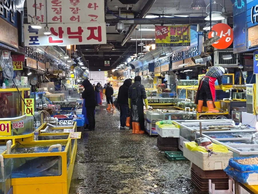 Garak Market photo 2 of 4