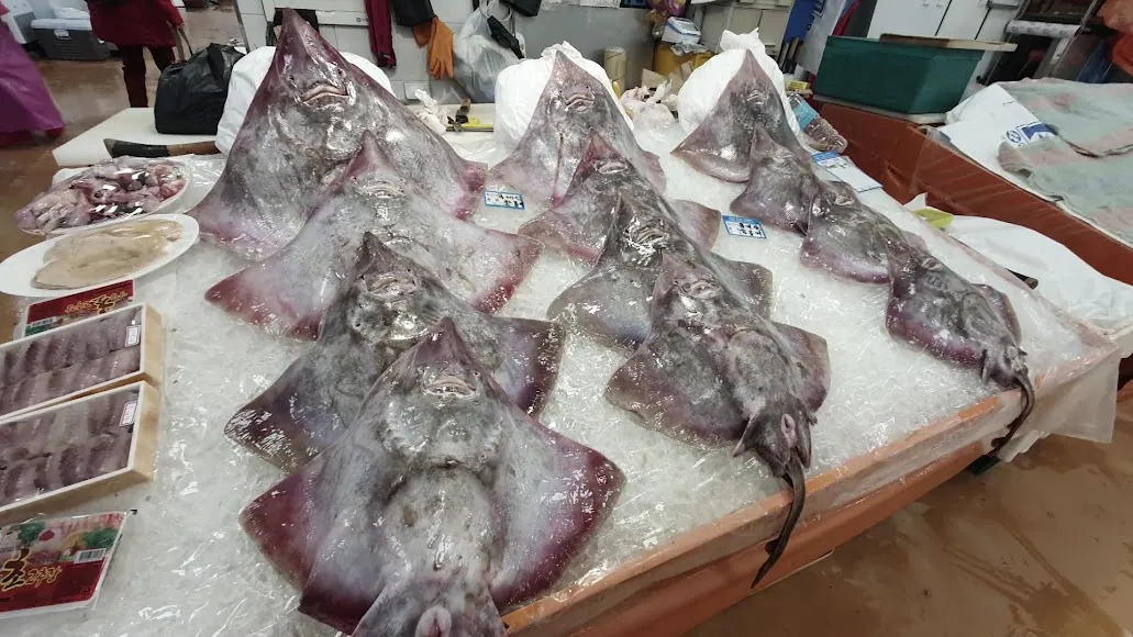 Noryangjin Fisheries Wholesale Market photo 3 of 3